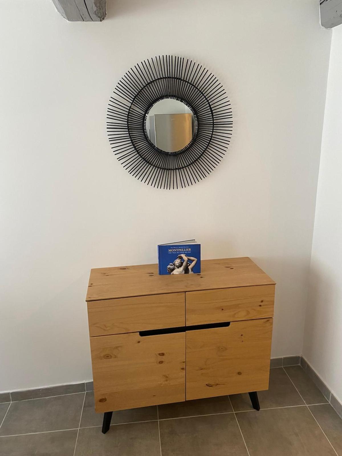 Superbe Appartement Climatise Avec Patio 몽펠리에 외부 사진